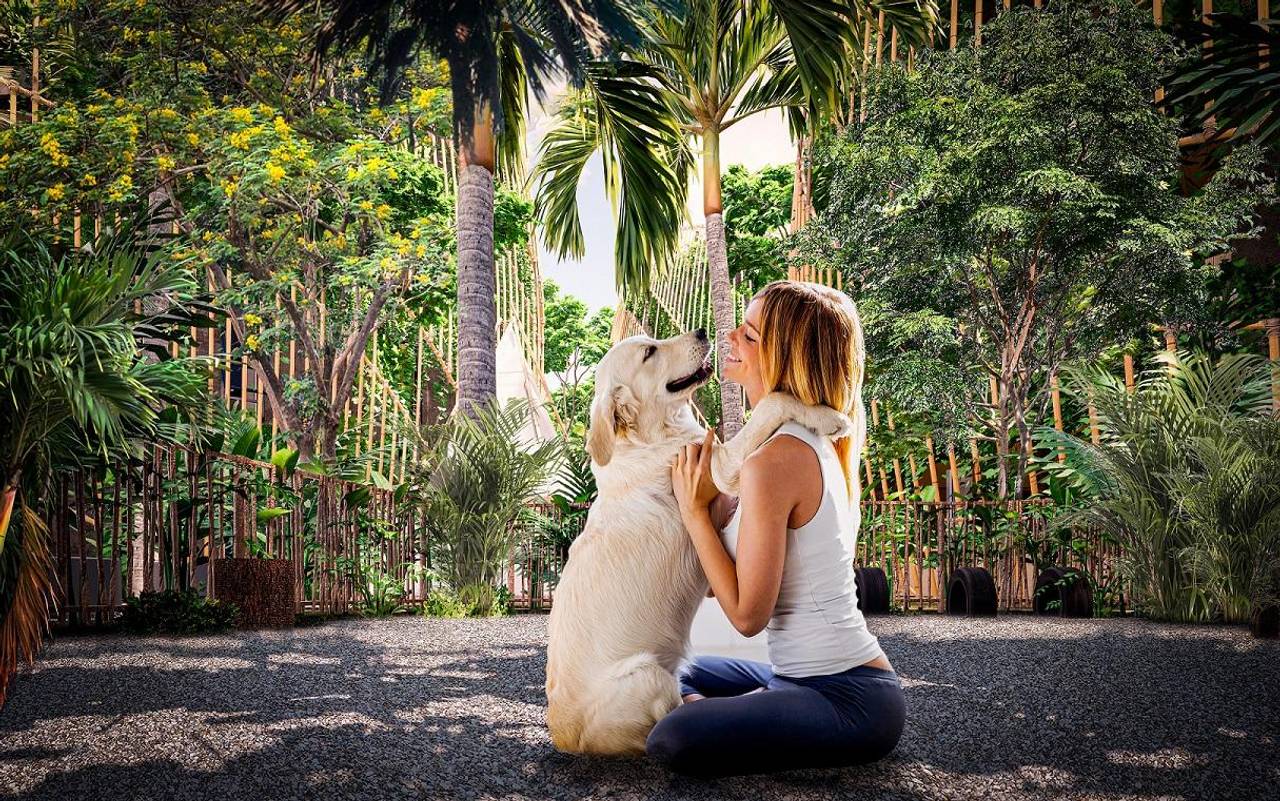 Apartamento en Miches Proyecto de Inversión de Revalorización 48749848