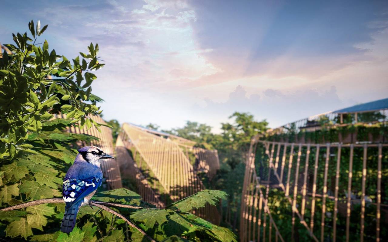 Apartamento en Miches Proyecto de Inversión de Revalorización 4984948